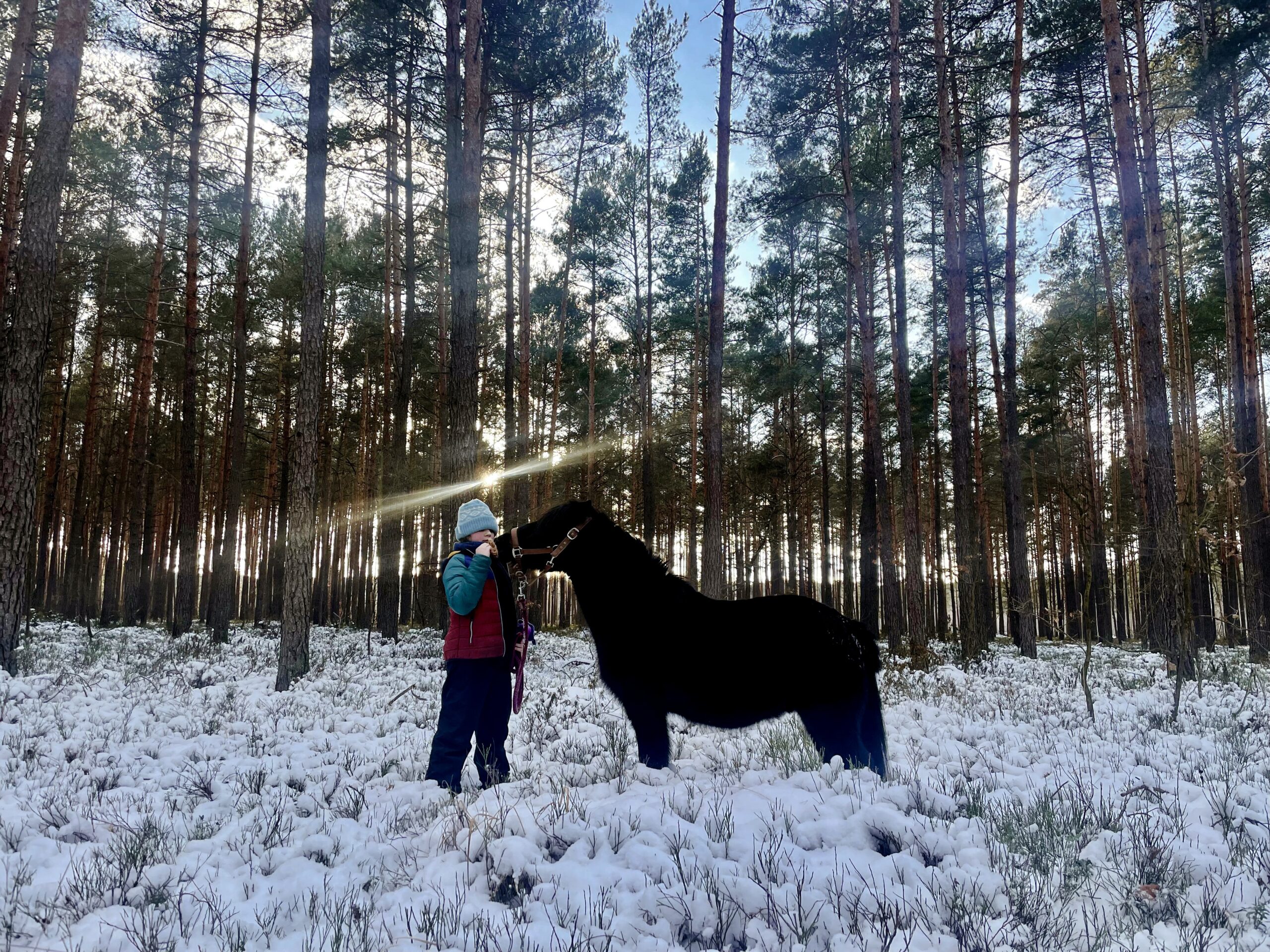 Read more about the article Nie wolno się spieszyć w lesie!