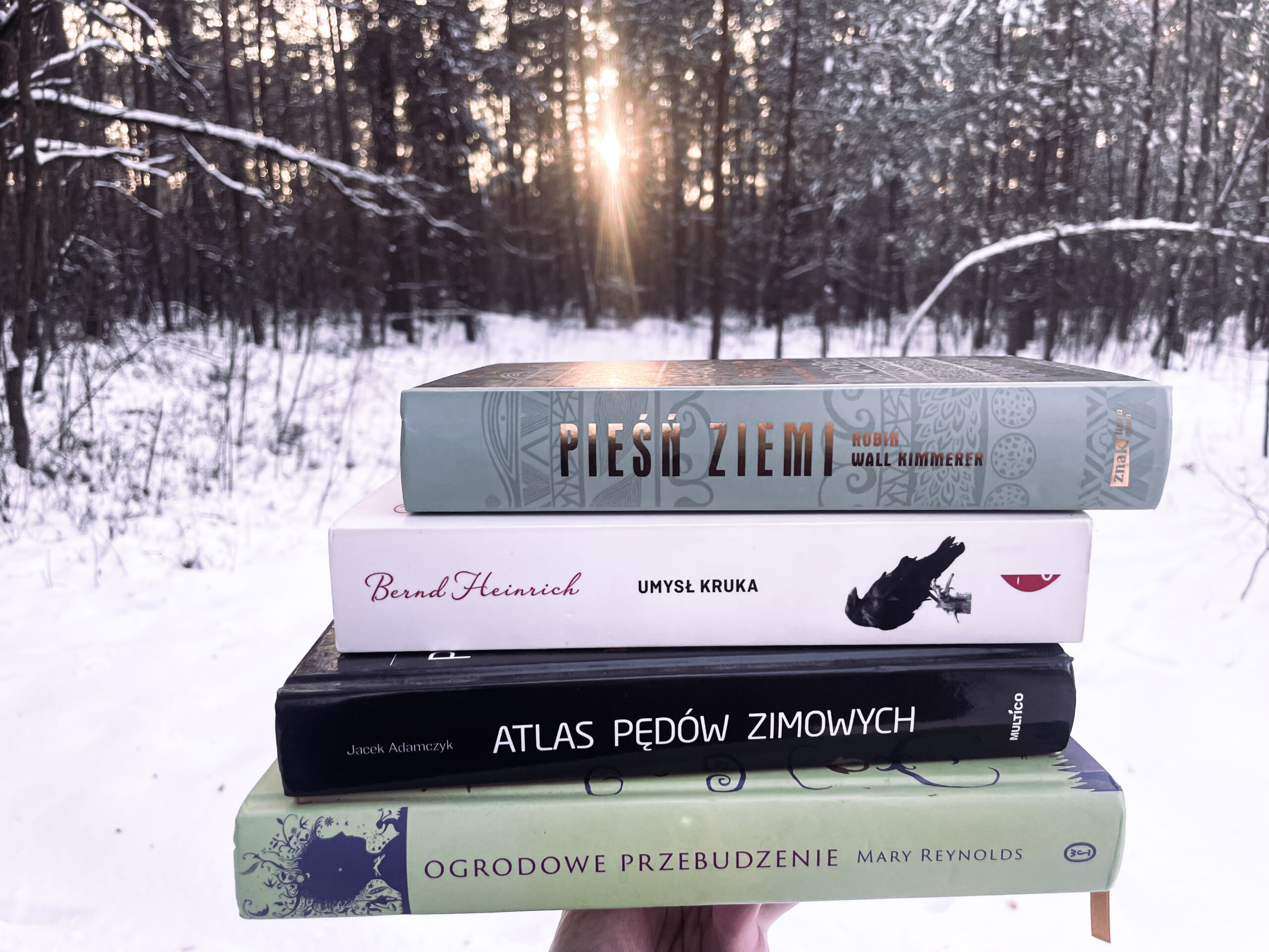 Read more about the article Zimowe czytanie